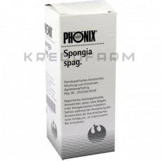 Фенікс Спонгія ● Phönix Spongia