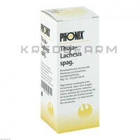 Феникс Туя ● Phönix Thuja
