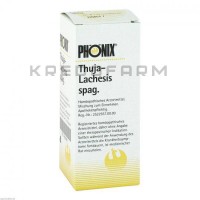 Феникс Туя ● Phönix Thuja