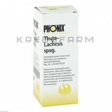 Фенікс Туя ● Phönix Thuja