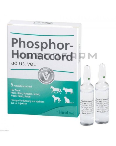 Фосфор Хомаккорд ампулы, капли ● Phosphor Homaccord