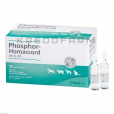 Фосфор Хомаккорд ● Phosphor Homaccord