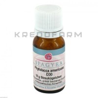 Фитолакка Американа ● Phytolacca Americana