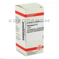 Фитолакка ● Phytolacca