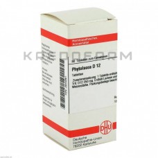 Фітолакка ● Phytolacca