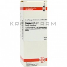 Фітолакка ● Phytolacca