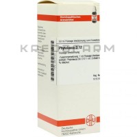 Фитолакка ● Phytolacca