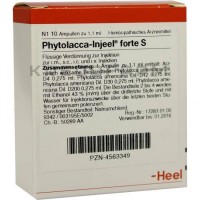 Фитолакка Иньель ● Phytolacca Injeel