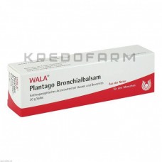 Плантаго Бронхиалбальзам ● Plantago Bronchialbalsam