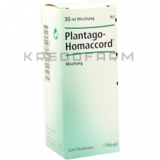 Плантаго Гомаккорд ● Plantago Homaccord