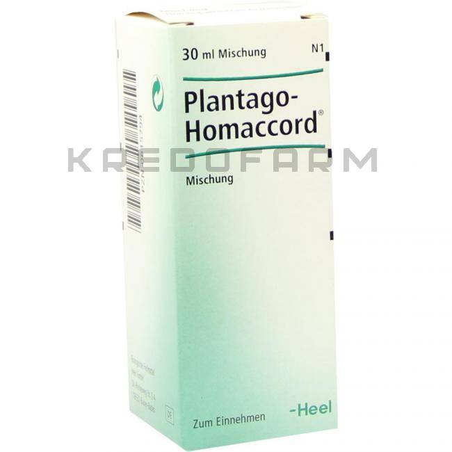 ПЛАНТАГО ГОМАККОРД ● PLANTAGO HOMACCORD капли 30 мл - Биологише Хайльмиттель Хеель =2 907 грн