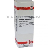 Плантаго Ланцеолата ● Plantago Lanceolata