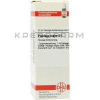 Плантаго Майор ● Plantago Major