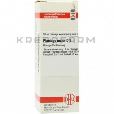 Плантаго Майор ● Plantago Major