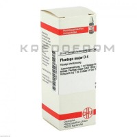 Плантаго Майор ● Plantago Major