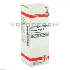 Плантаго Майор ● Plantago Major