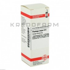 Плантаго Майор ● Plantago Major