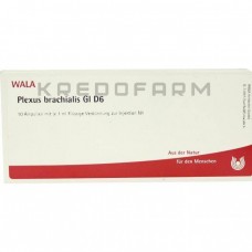 Плексус Брахіаліс ● Plexus Brachialis