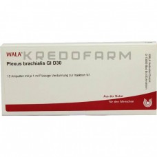 Плексус Брахіаліс ● Plexus Brachialis