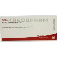 Плексус Цилиакус ● Plexus Coeliacus