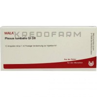 Плексус Люмбалис ● Plexus Lumbalis