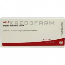 Плексус Люмбаліс ● Plexus Lumbalis