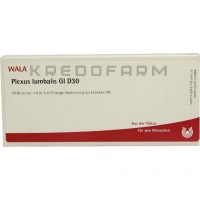 Плексус Люмбалис ● Plexus Lumbalis