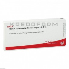 Плексус Пульмоналіс ● Plexus Pulmonalis