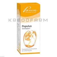 Популюс Симилиаплекс ● Populus Similiaplex