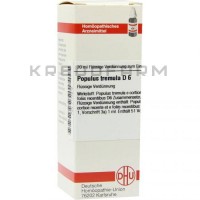 Популюс Тремула ● Populus Tremula