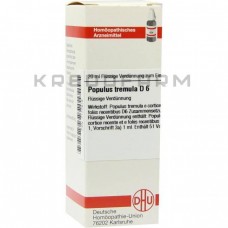 Популюс Тремула ● Populus Tremula