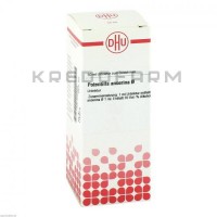 Потентілла Ансеріна ● Potentilla Anserina