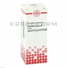 Потентілла Ансеріна ● Potentilla Anserina