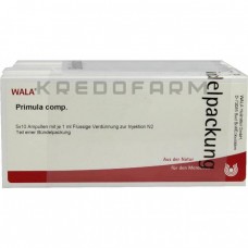 Примула Комп ● Primula Comp