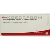 Прунус Спіноза ● Prunus Spinosa