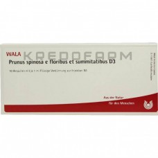 Прунус Спіноза ● Prunus Spinosa