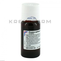 Прунус Спіноза ● Prunus Spinosa