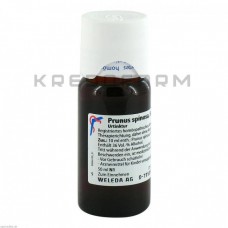 Прунус Спіноза ● Prunus Spinosa