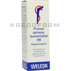 Прунус Спіноза ● Prunus Spinosa