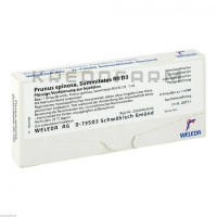 Прунус Спіноза ● Prunus Spinosa