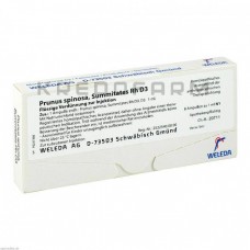 Прунус Спіноза ● Prunus Spinosa