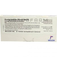 Прунус Спіноза ● Prunus Spinosa