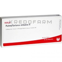 Пульмо Тартарус ● Pulmo Tartarus