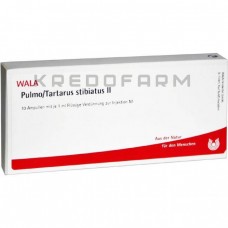 Пульмо Тартарус ● Pulmo Tartarus