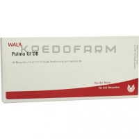 Пульмо ● Pulmo