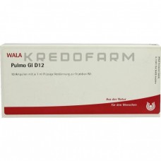 Пульмо ● Pulmo