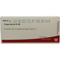 Пульпа Дентис ● Pulpa Dentis