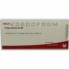 Пульпа Дентіс ● Pulpa Dentis