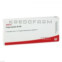 Пульпа Дентис ● Pulpa Dentis