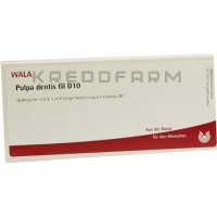 Пульпа Дентис ● Pulpa Dentis